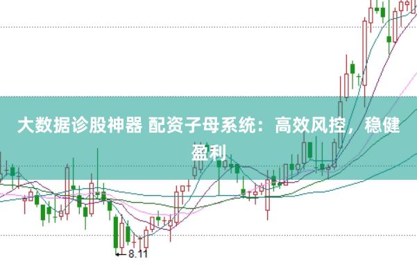 大数据诊股神器 配资子母系统：高效风控，稳健盈利