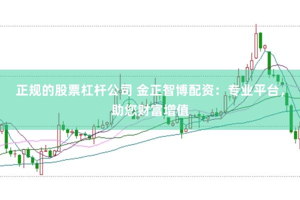 正规的股票杠杆公司 金正智博配资：专业平台，助您财富增值