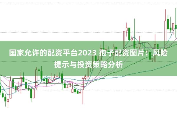 国家允许的配资平台2023 孢子配资图片：风险提示与投资策略分析