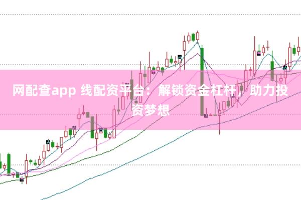 网配查app 线配资平台：解锁资金杠杆，助力投资梦想