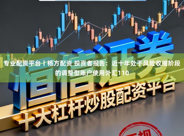 专业配资平台丨杨方配资 投资者报告：近十年处于风险收缩阶段的调整型账户使用外汇110