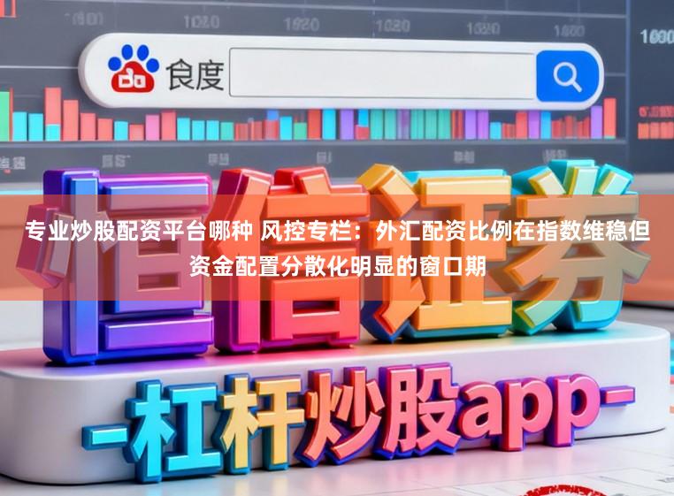 专业炒股配资平台哪种 风控专栏:外汇配资比例在指数维稳但资金配置分散化明显的窗口期