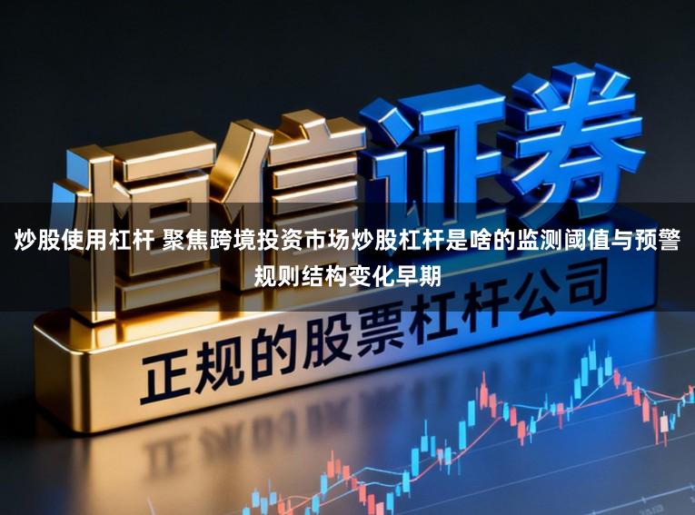 炒股使用杠杆 聚焦跨境投资市场炒股杠杆是啥的监测阈值与预警规则结构变化早期